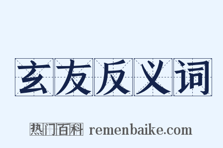 玄友反义词是什么意思的图片